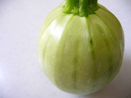 Zucchini02.jpg
