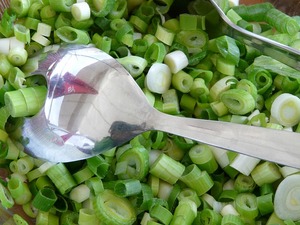 leek-58731_640.jpg